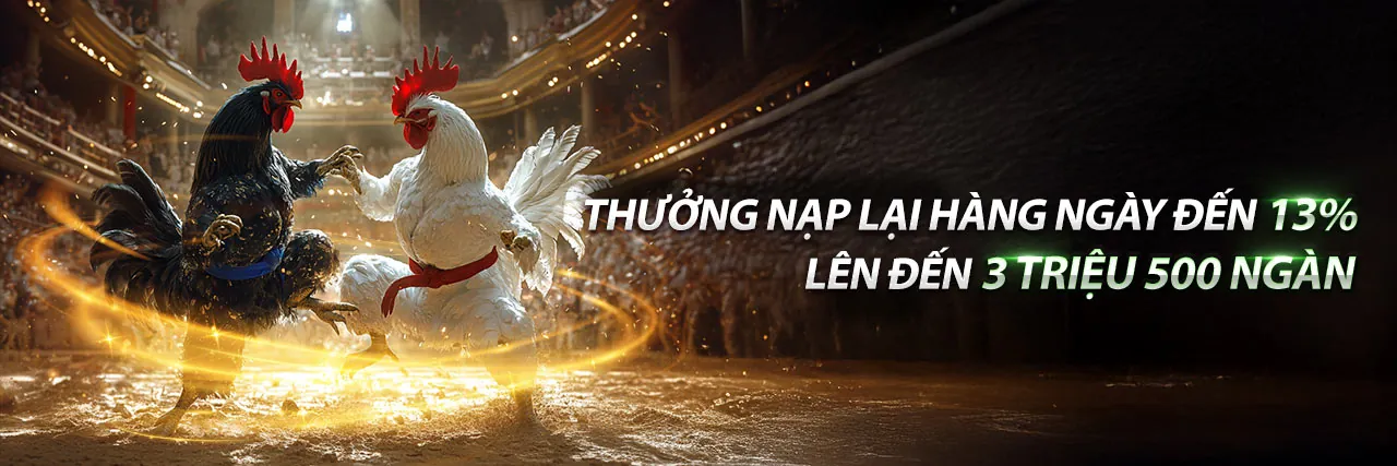 Sảnh cá cược thể thao 8live với không gian chuyên nghiệp