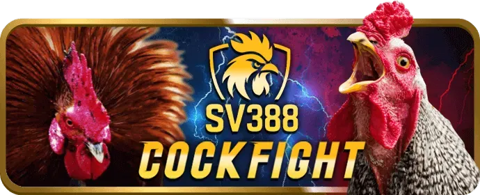 Trải nghiệm chơi Poker trực tuyến đỉnh cao tại 8live